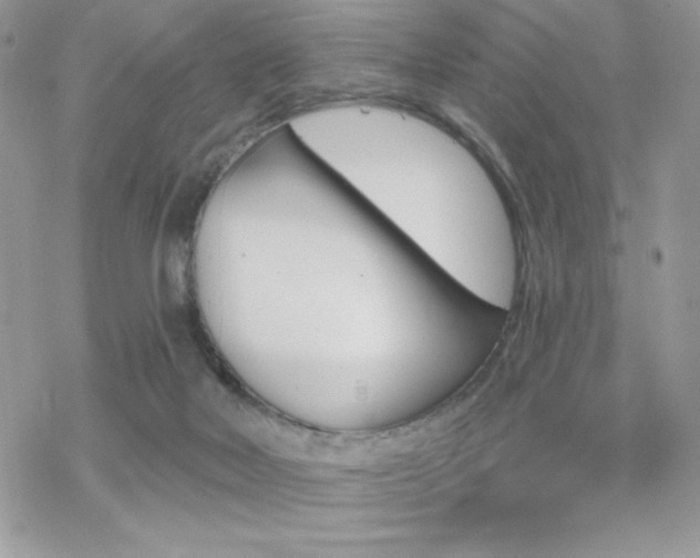 X0000070240026200606051136