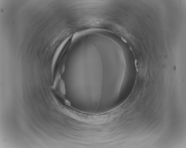 X0000070240027200606051136