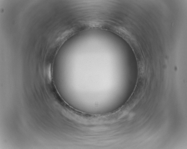 X0000070240028200606051136