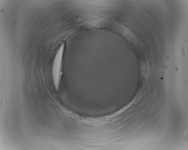 X0000070240029200606051136