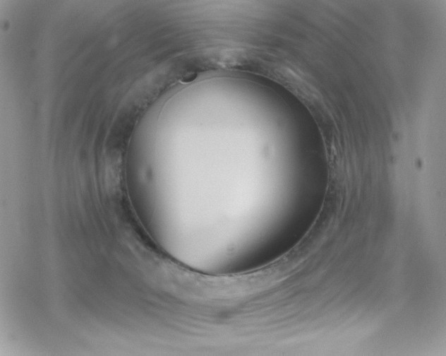 X0000070240030200606051136