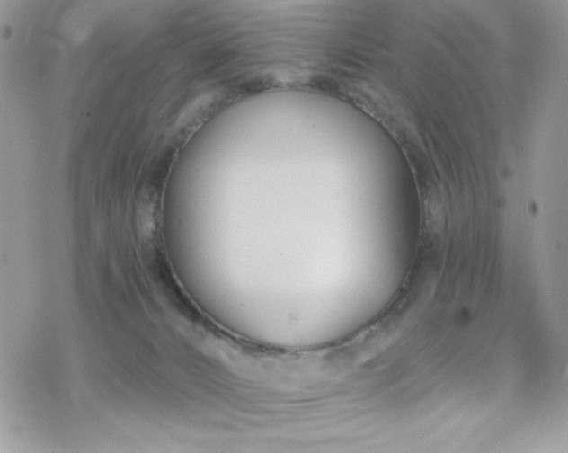 X0000070240032200606051136