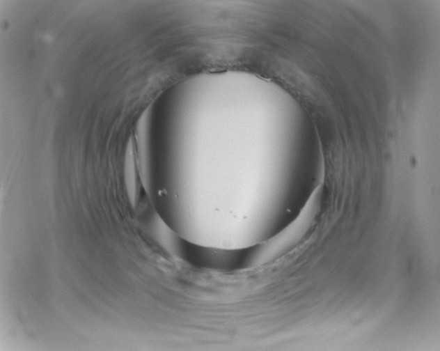 X0000070240033200606051136