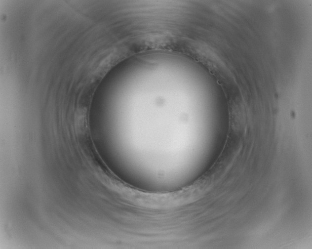 X0000070240034200606051136