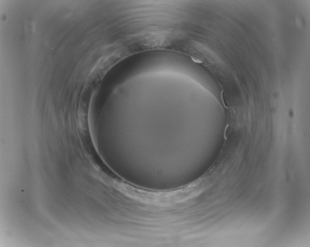 X0000070240035200606051136