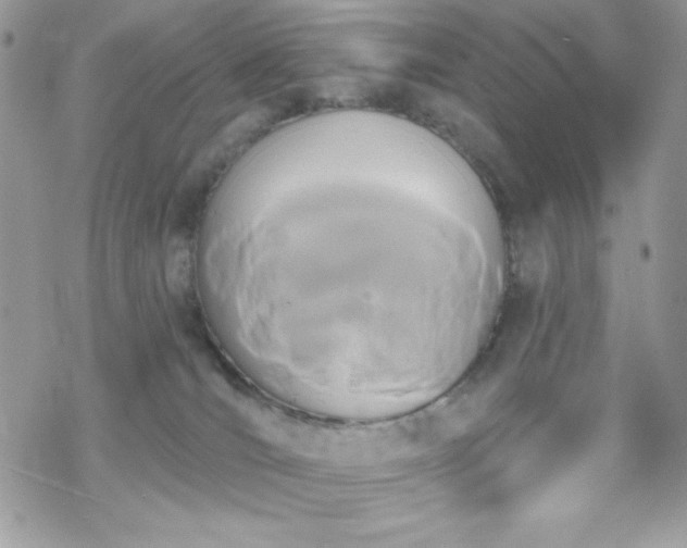 X0000070240036200606051136