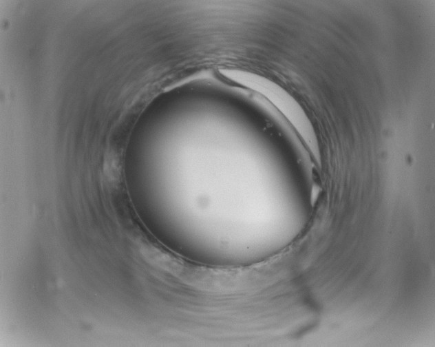 X0000070240037200606051136