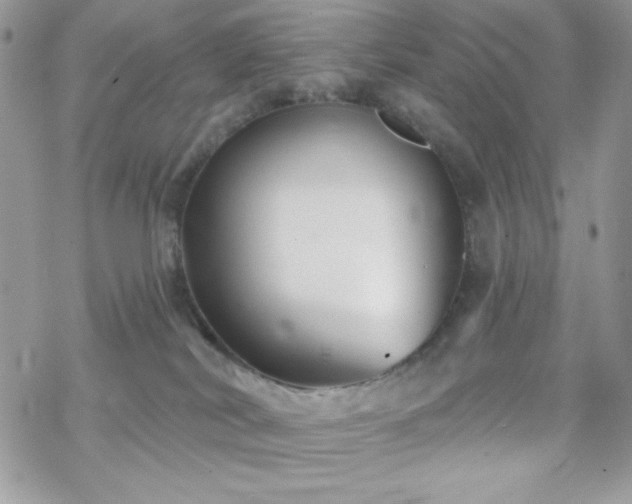 X0000070240038200606051136