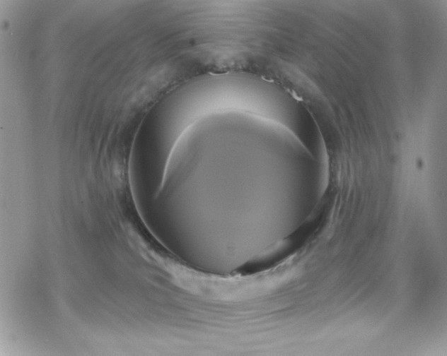 X0000070240039200606051136