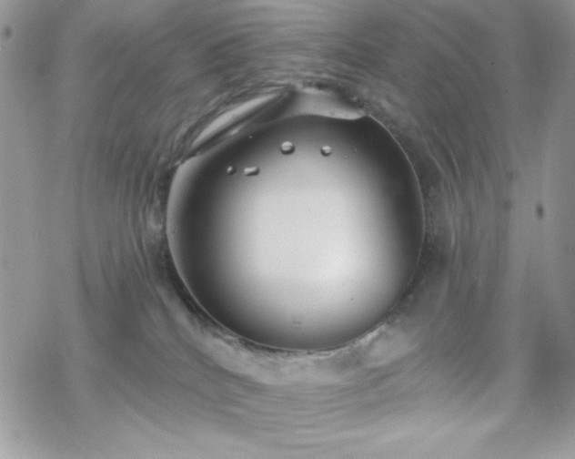 X0000070240040200606051136