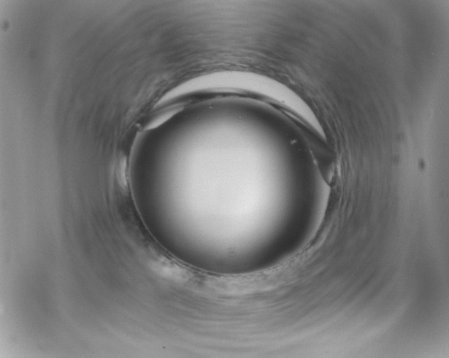 X0000070240041200606051136