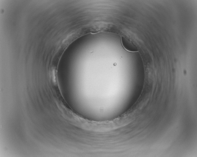 X0000070240042200606051136