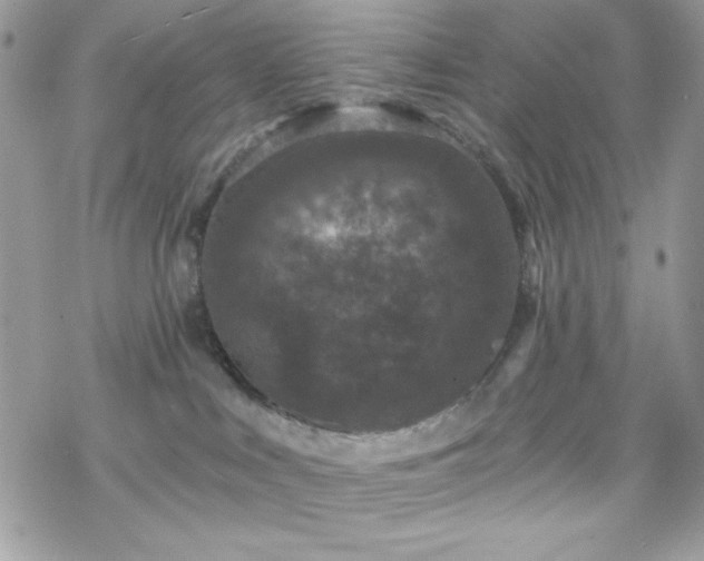 X0000070240043200606051136