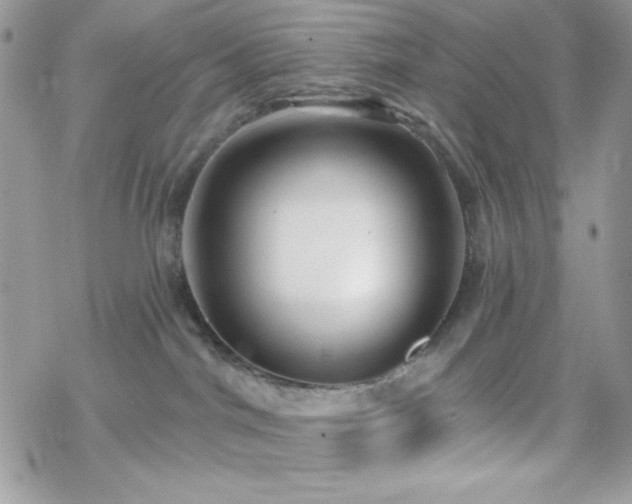 X0000070240044200606051136