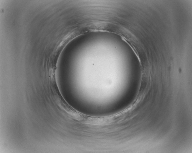 X0000070240045200606051136