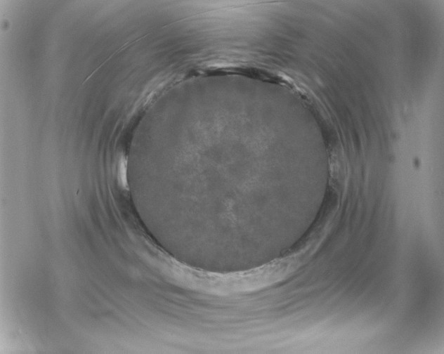 X0000070240046200606051136