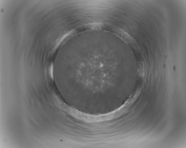 X0000070240047200606051136