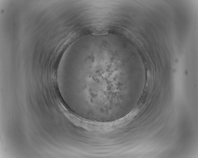 X0000070240048200606051136