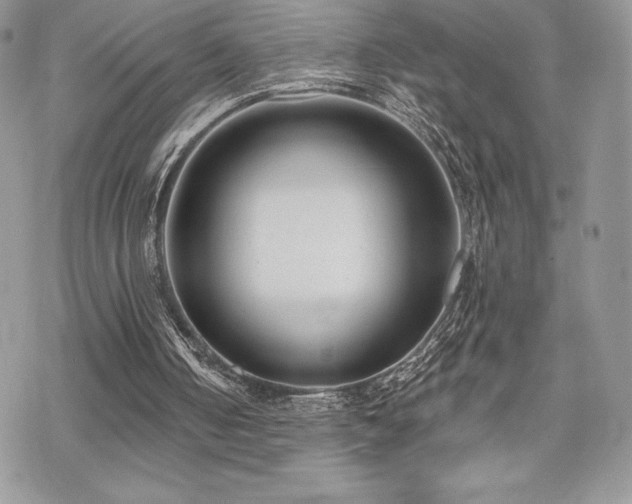 X0000070240050200606051135