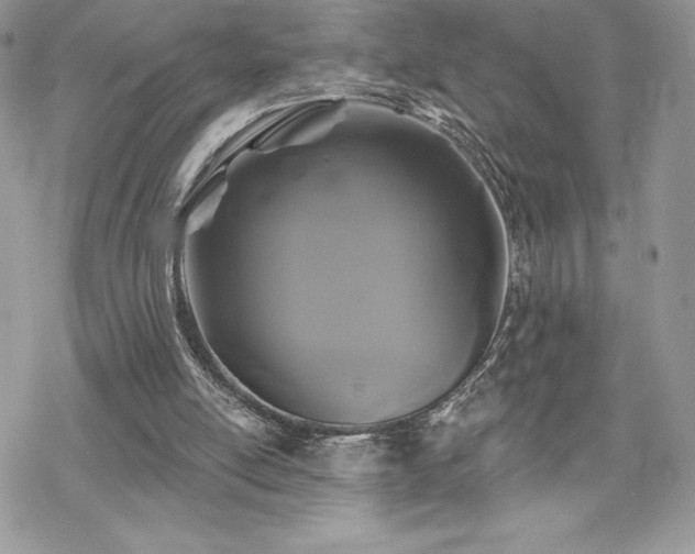 X0000070240054200606051135