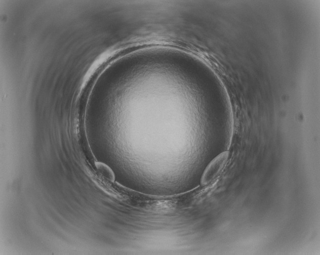 X0000070240056200606051135