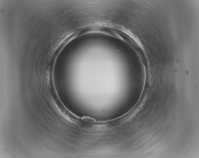 X0000070240057200606051135