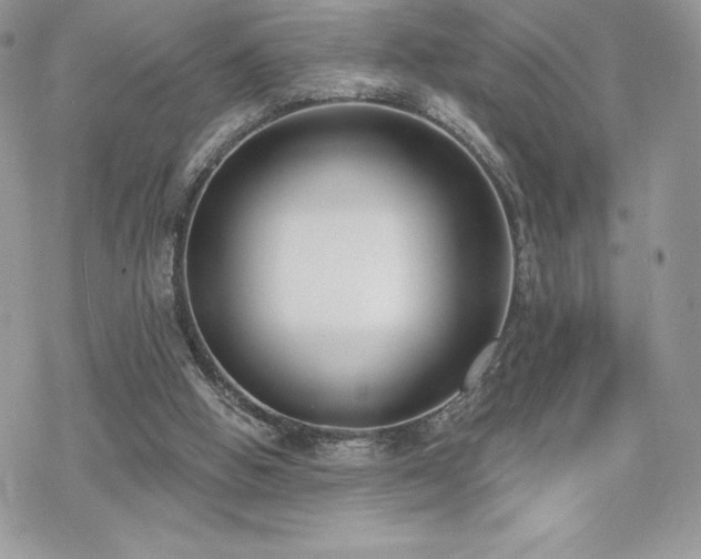 X0000070240058200606051135