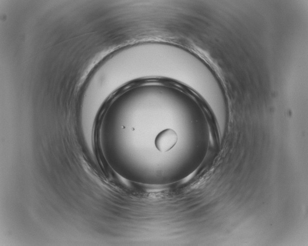 X0000070240060200606051135