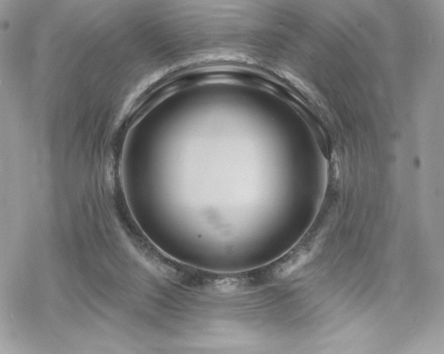 X0000070240064200606051135