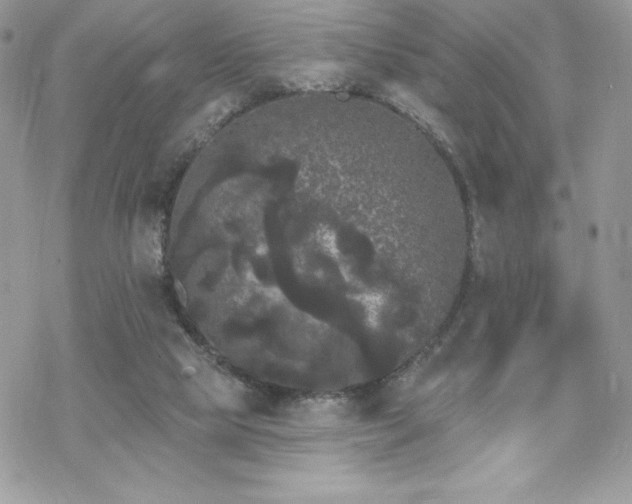 X0000070240065200606051135