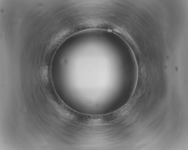 X0000070240066200606051135