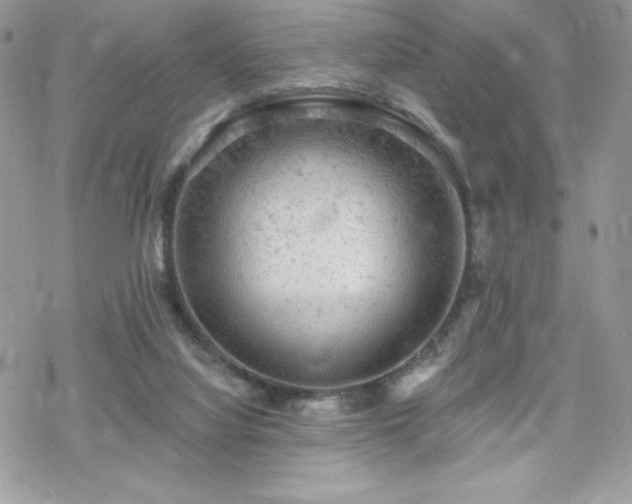 X0000070240068200606051135