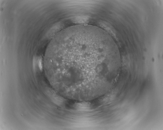 X0000070240069200606051135