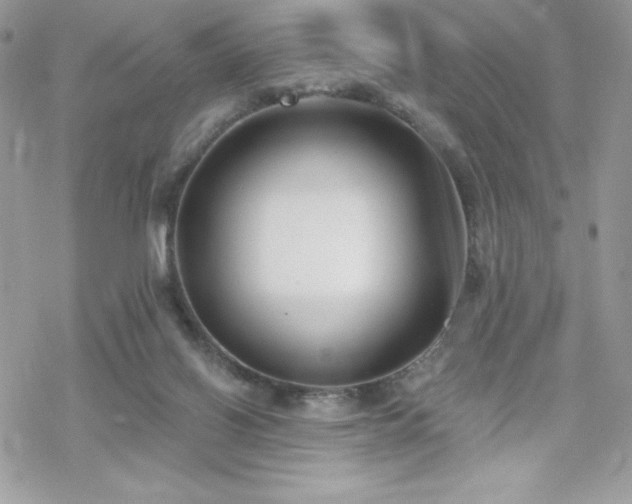 X0000070240070200606051135