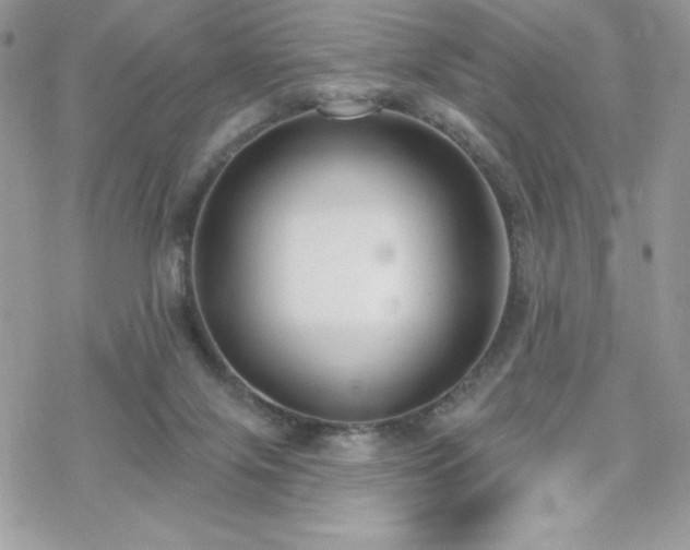 X0000070240071200606051135