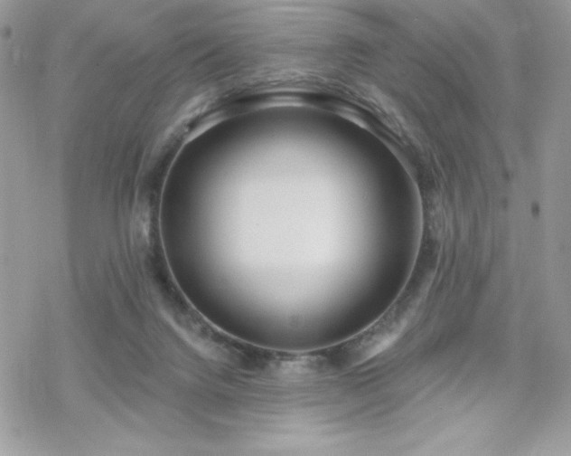 X0000070240072200606051135