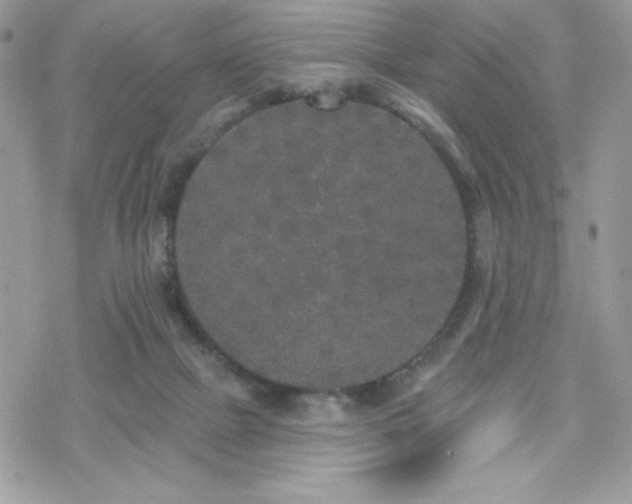 X0000070240073200606051135