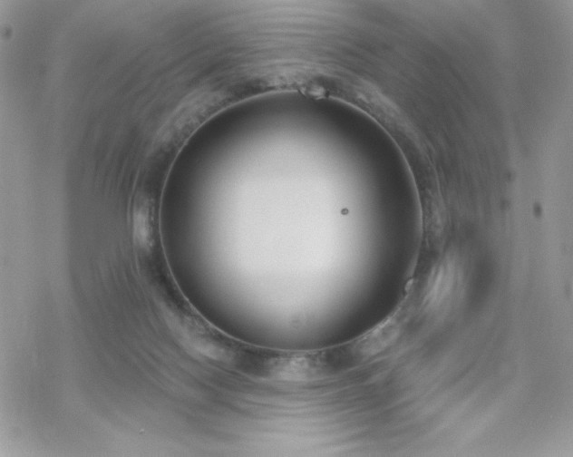 X0000070240074200606051135