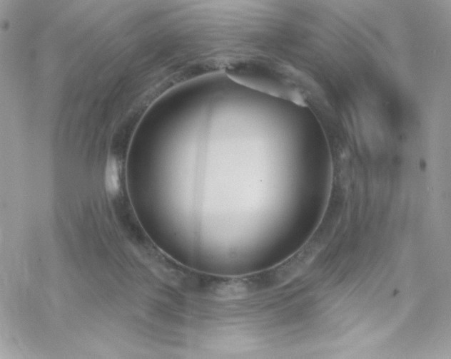 X0000070240075200606051135