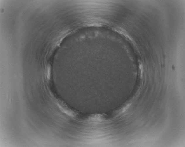 X0000070240076200606051135