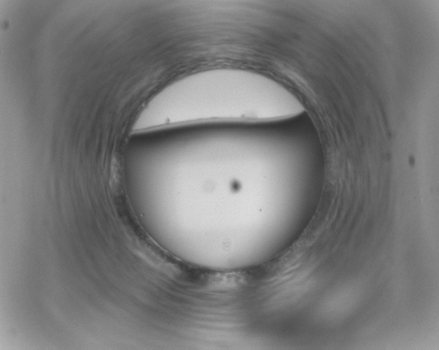 X0000070240077200606051135