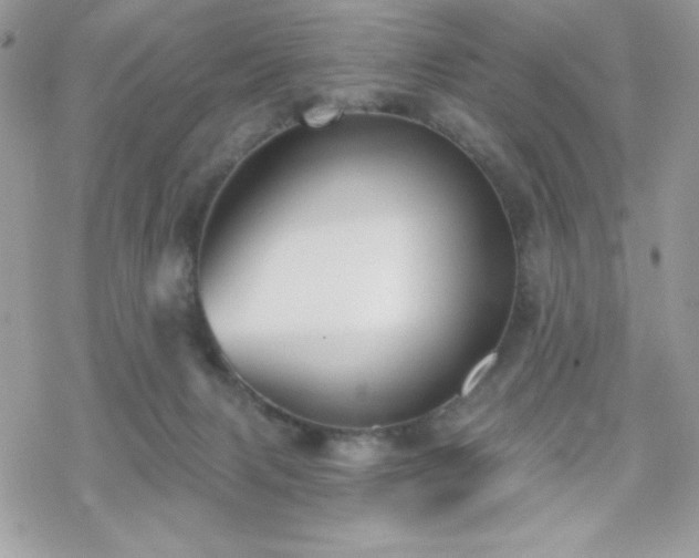 X0000070240079200606051135