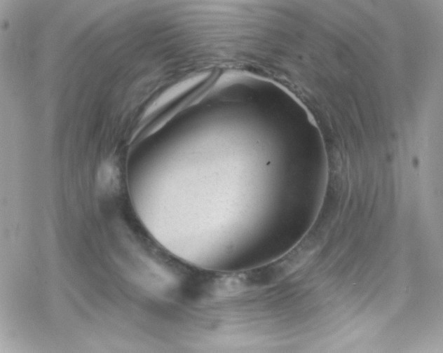 X0000070240080200606051135