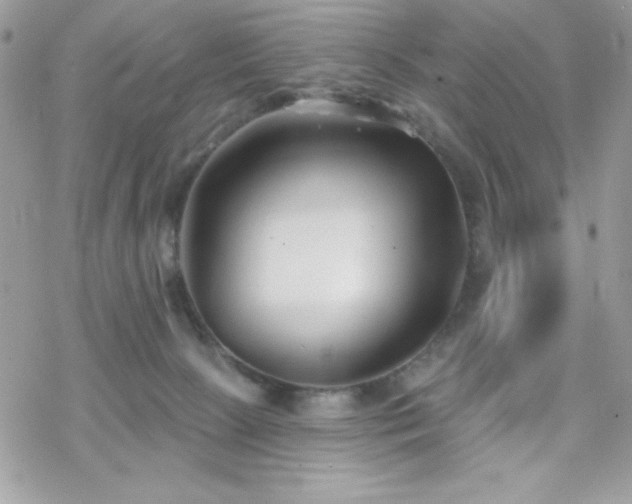 X0000070240081200606051135