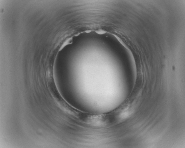 X0000070240084200606051135