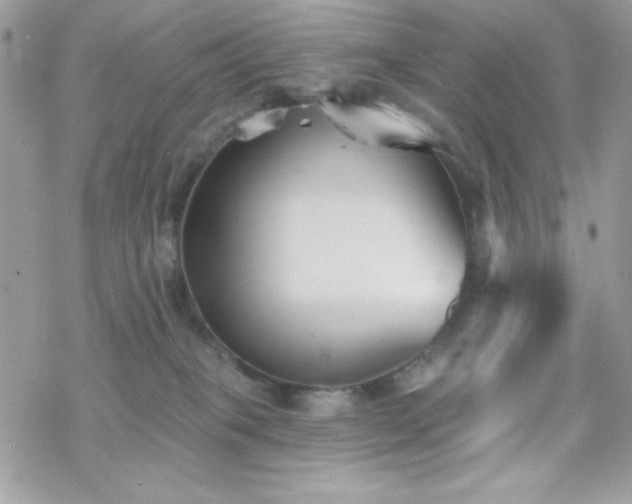 X0000070240085200606051135