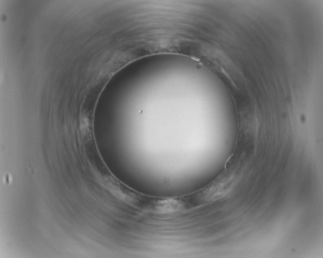 X0000070240087200606051135