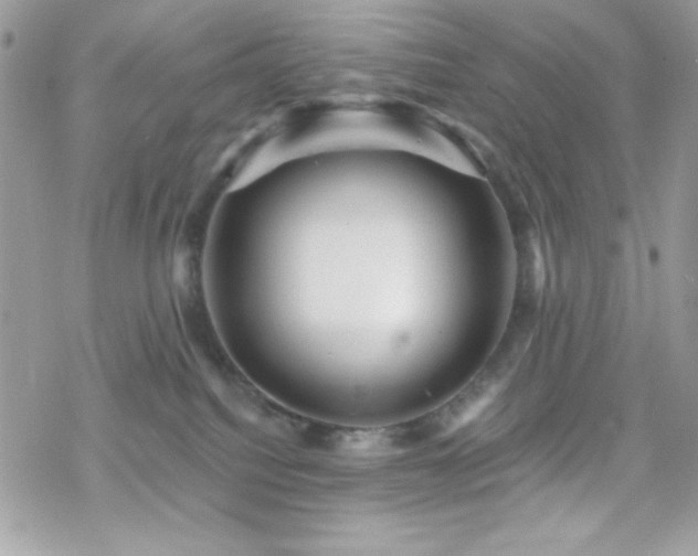 X0000070240088200606051135