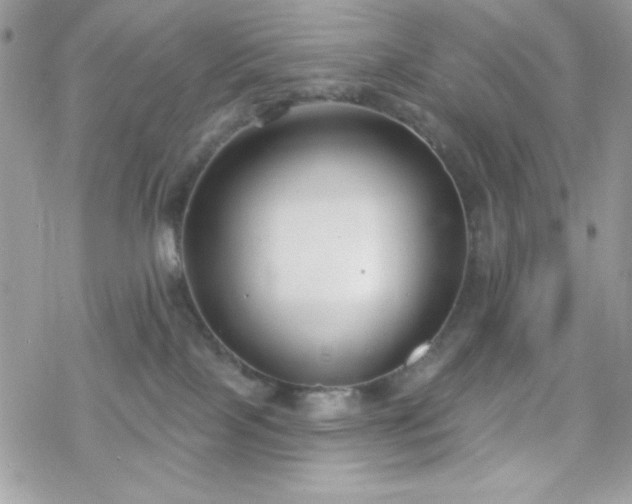 X0000070240089200606051135