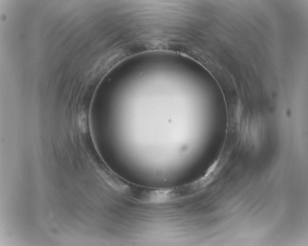 X0000070240090200606051136